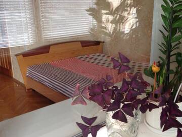 Фотографии Апартаменты Apartment on Mayakovskogo г. Брест (Беларусь) №5 Фото Апартаменты Apartment on Mayakovskogo г. Брест 5