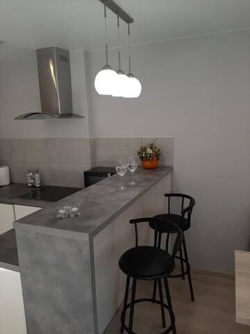 Фото номера Апартаменты-студио Апартаменты Rever House 5 г. Брест 9
