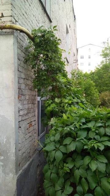 Фото номера Апартаменты Апартаменты City Centre Apartment г. Брест 71