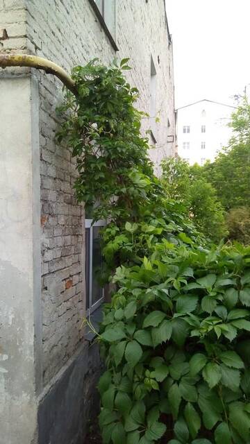 Фото номера Апартаменты Апартаменты City Centre Apartment г. Брест 37