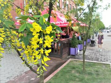 Фото номера Апартаменты Апартаменты Apartament na Adamkovskoy г. Брест 25